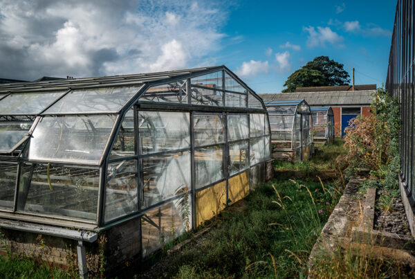 Beck Green Nurseries, Egremont - the site of the new Growing Well in west Cumbria