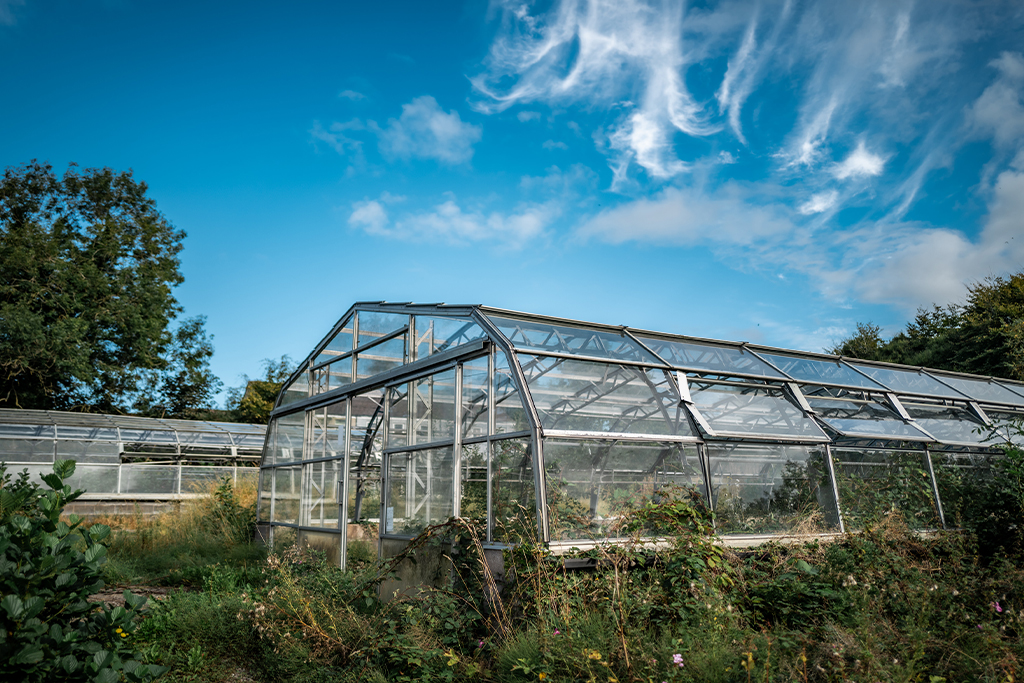 Beck Green Nurseries, Egremont - the site of the new Growing Well in west Cumbria